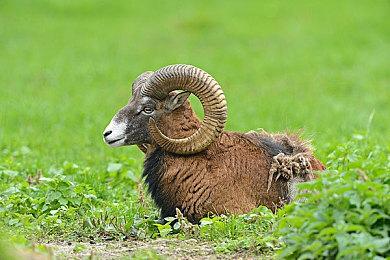 《七龙珠 电光炸裂！ZERO》PC配置公布 意外地低