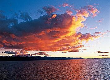 网易疯了！月薪66666低门槛招聘游戏制作人？