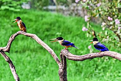 《当火车鸣笛三秒》现已在Steam发售 国区32元